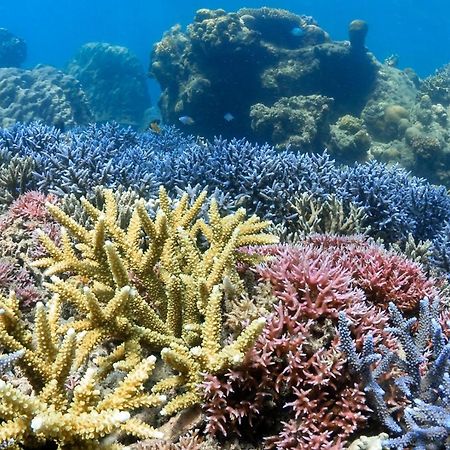 Alam Karang Hotel Gili Gede Exterior foto
